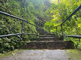 Stone staircase with metal railings ascends through a lush, green tropical forest, leading upwards...
