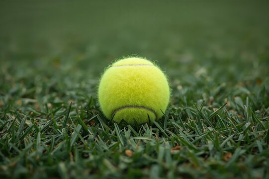 Yellow tennis ball resting on green grass background isolated