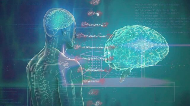 Animation of dna strand, human brain and body over connections - Powered by Adobe