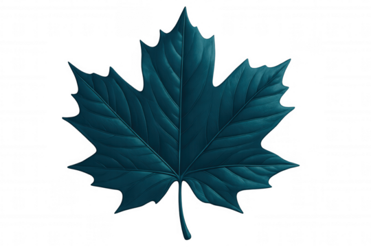 Teal maple leaf displaying delicate venation, isolated against transparent backdrop, capturing rich autumn coloration and botanical detail