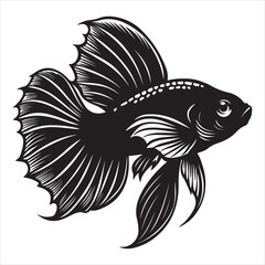 A Vibrant and Colorful Siamese Fighting Fish, a Striking and Exotic Aquatic Pet with Unique Fins and a Bright, Ornamental Body Swimming Alone