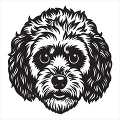 A Happy and Healthy Bichon Frise, a Non-Shedding Companion Dog Known for its Hypoallergenic Curly Coat and Affectionate Personality