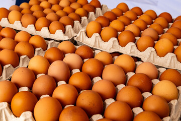 Fresh brown eggs neatly arranged in trays at a market during daylight hours, showcasing their natural color and quality to potential buyers