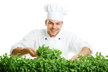 Smiling chef holding fresh green herbs isolated on transparent background. Chef cook cutting fresh greenchef cook cutting fresh green herbs isolated on white background.