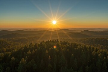Rays of sunlight