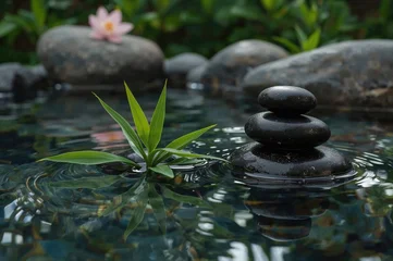 Fototapete Toilette Relaxing spa scene with dark stones and bamboo leaves floating on water  © NFTNexus