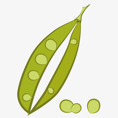 Illustration of green peas. Image of green peas in a pod with seeds.
