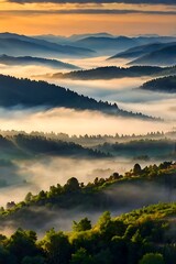 beautiful mountains with mist forest
