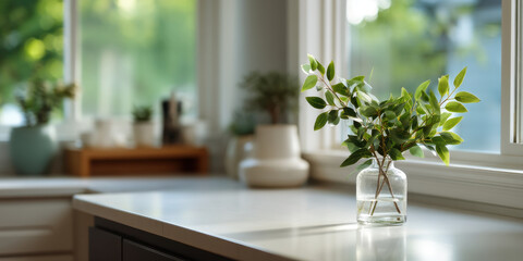 Fototapeta premium Green leafy branch in glass vase on bright kitchen countertop near window with blurred background plants