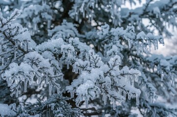 Close-up of a tree enveloped in ice during winter