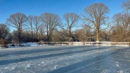 Bright winter day showcasing a frozen lake within a wooded park area. Gorgeous scenery.