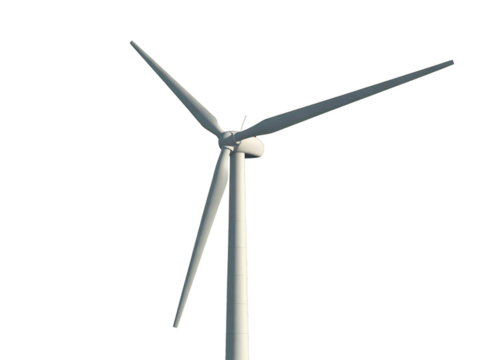 Vibrant and Freshly Picked Rhubarb Stalks for Healthy Seasonal Culinary Creations