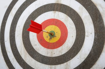 Arrow hits the bullseye on a highlighted spot. Promotion, strategy, and focus. Precisely aimed. Success. Choose an objective, define a mission. Resolve and insight. Flourish in nature