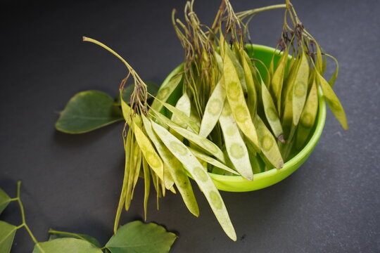 Sisam leaf, fruits, seeds, and juice offer natural health benefits, rich nutrition, medicinal uses, and traditional Ayurvedic healing properties