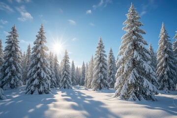 Snow-laden trees during the day in a winter landscape