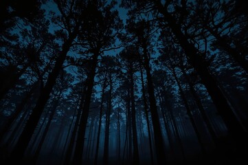 Naklejka premium Dark forest with tree outlines