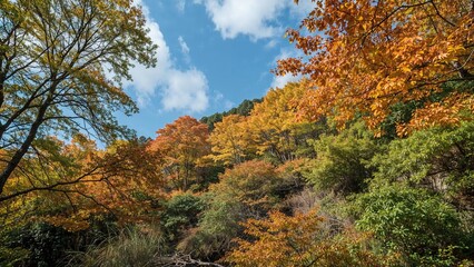 Fototapeta premium Journey to the clouds in the East