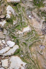 Gros plan détaillé de rochers recouverts de mousse, de lichen dans une forêt avec un plan d'eau. Textures naturelles aux tons verts terreux. Doubs, France