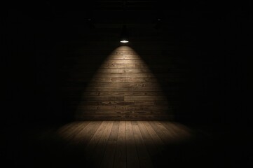 Illuminated area in a dim setting featuring wooden panels and dark walls, empty space available for text or product display