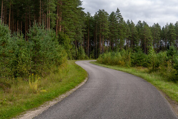 Fototapeta premium Asphalt road curving through dense green pine forest in Latvia, peaceful countryside travel background with scenic trees and cloudy sky
