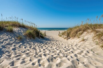 Sandy stairway providing access to a communal beach beneath a bright, cloudless sky.
