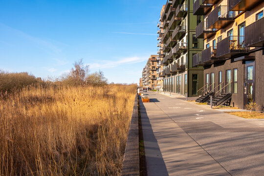 Contemporary housing blocks in Ørestad, Copenhagen, Denmark, with sidewalk and dry grass foreground, urban architecture integrating nature and community in Scandinavian development