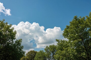 Beautiful summer sky filled with clouds above a natural landscape of trees