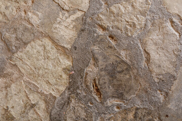 High-resolution image of a rough stone texture, perfect for backgrounds and design projects.  Natural stone backdrop.