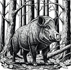 Boar: A highly detailed line art illustration of a wild boar standing in a dense forest, in a realistic, hand-drawn sketch style.