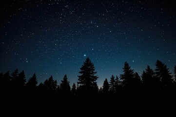 Outline of a pine tree woodland set against a nighttime sky