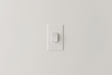 Fototapeta premium Basic wall-mounted light switch
