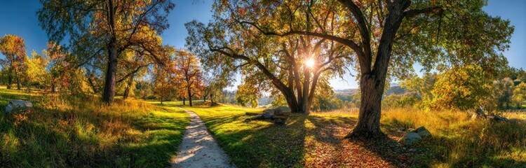 Autumnal path through a sunlit park