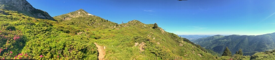 Naklejka premium Panoramic mountain view with green hills and clear blue sky
