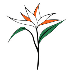 minimal vector illustration strelitzia alba line art on white background