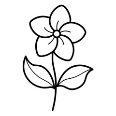 vinca minor line art vector on white background