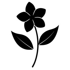 vinca minor flower silhouette vector on-white
