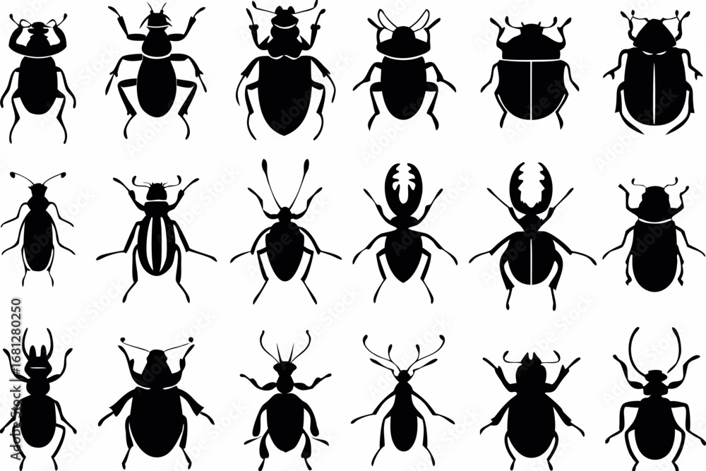 Poster collection of silhouette beetle illustrations in various shapes and sizes against white background c