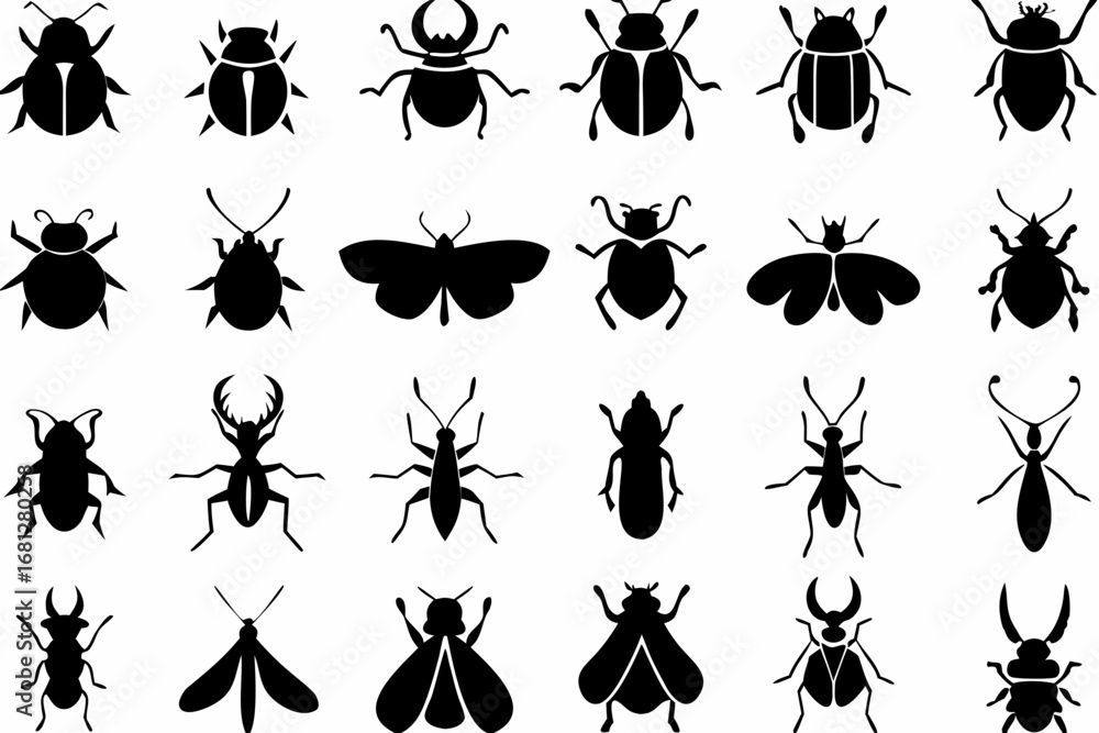 Poster collection of twenty four different black insect silhouettes on a white background displayed in a gr