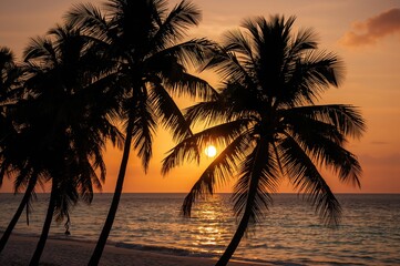 Sunset silhouette featuring palm trees against a golden horizon with natural scenery