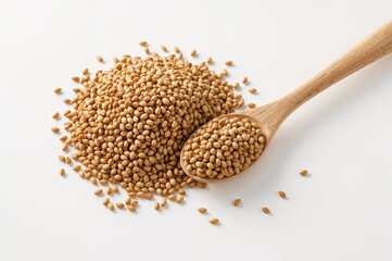 Wooden spoon holding grain seeds with drops isolated on white background