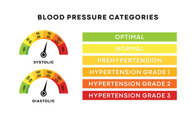 Blood pressure systolic and diastolic charts as dial dashboards with arrows. Hypertension test infographic tool isolated on white background. Vector flat illustration