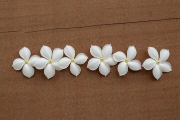 Fototapeta na wymiar Cluster of Jasmine Flowers on a Wooden Surface