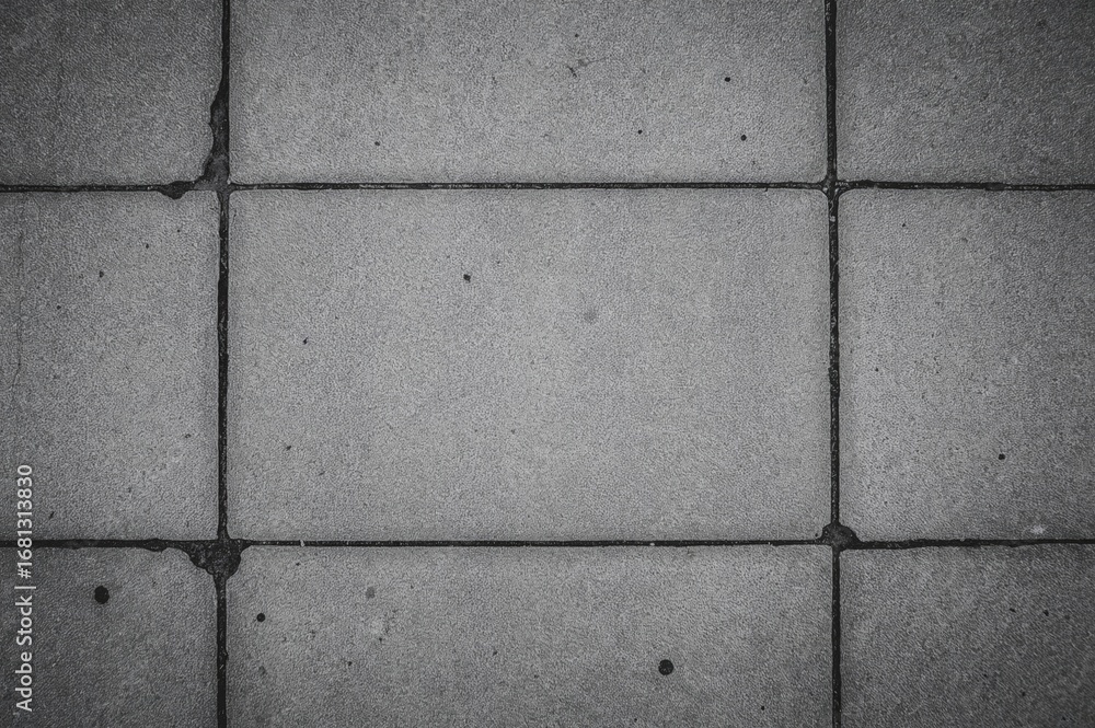 Poster view from above of a rectangular concrete block pavement in black and white film negative.