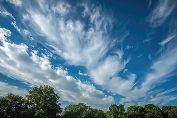 Lush green trees beneath a bright blue sky filled with impressive clouds