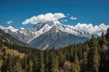Fototapeta premium Hiking trail leading to a snowy mountain base camp with trees and forest scenery