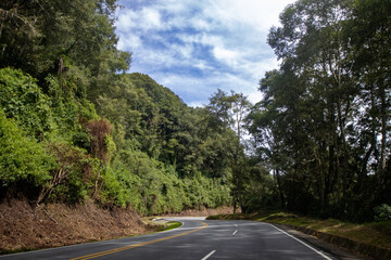 Winding road through lush green forest landscape under a blue sky with scattered clouds