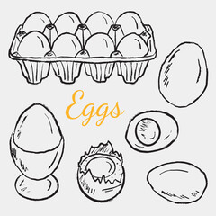 Hand drawn carton eggs box illustrations. Vector sketch vintage style drawing. Menu design, lunch, breakfast. Boiled egg in server