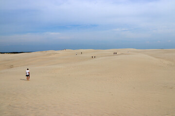 Touristic attraction - The nordic deasert, the migrating coastal sand dune Råbjerg Mile near...