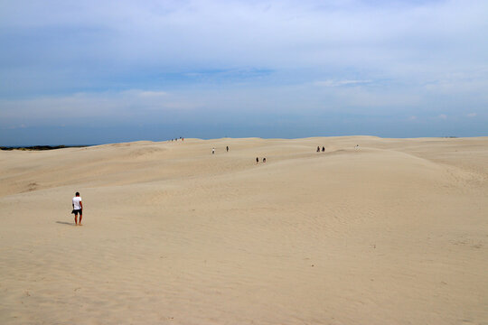 Touristic attraction - The nordic deasert, the migrating coastal sand dune R&aring;bjerg Mile near Skagen in Denmark
