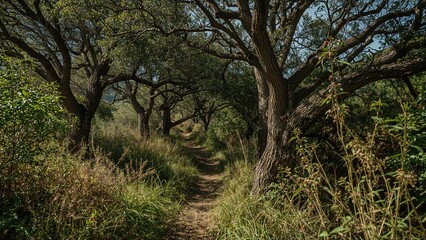 Obraz premium Vertical photo of a classic Mediterranean scene featuring trees, a tight path, and wild plants.